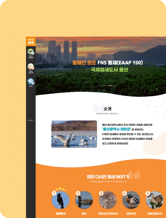 울산 태화강 철새 홈페이지 구축